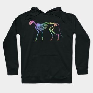 Cat Skeleton Rainbow Hoodie